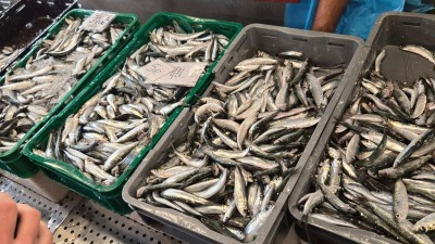 WhatsApp Image 2025-11-14 at 09.23.26 (1).jpeg